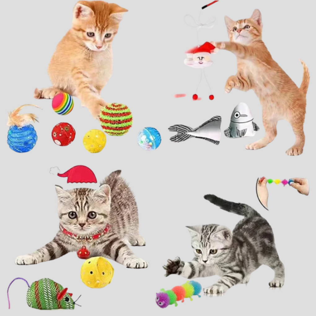 Cat Interactive Toy Advent Calendar 24 Day Countdown Kit