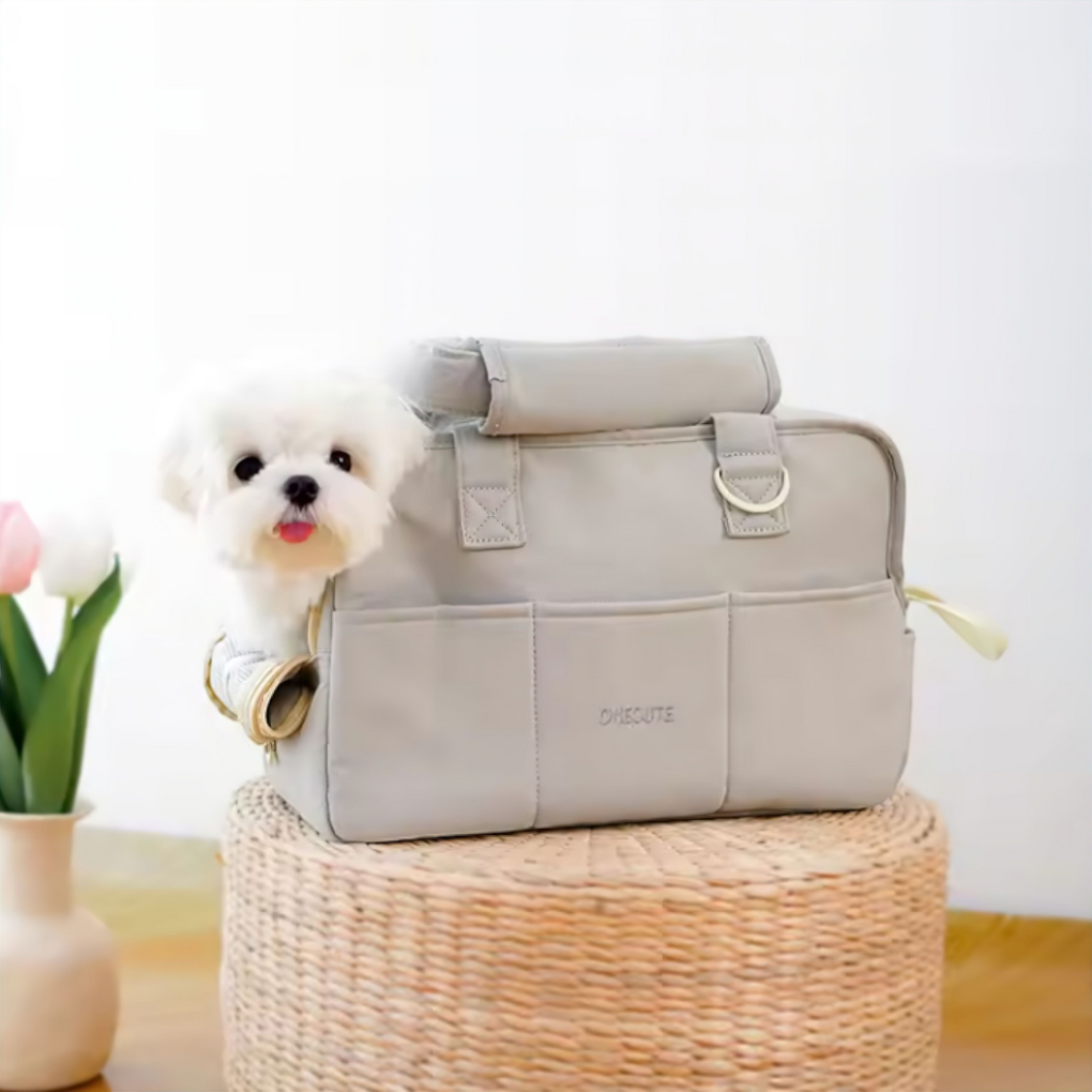 Pet Travel Carrier