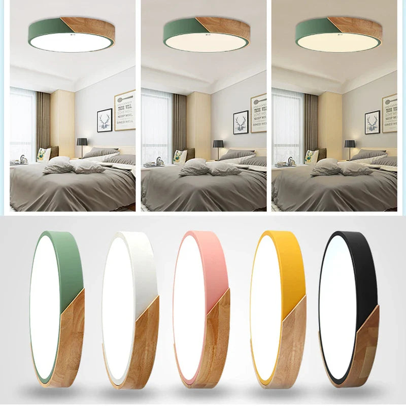 Flush Mount Light Fixture Modern Minimalist