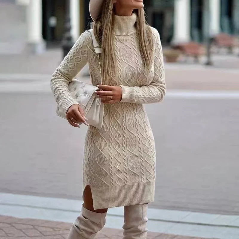 Veronae Women's Knit Turtleneck Dress