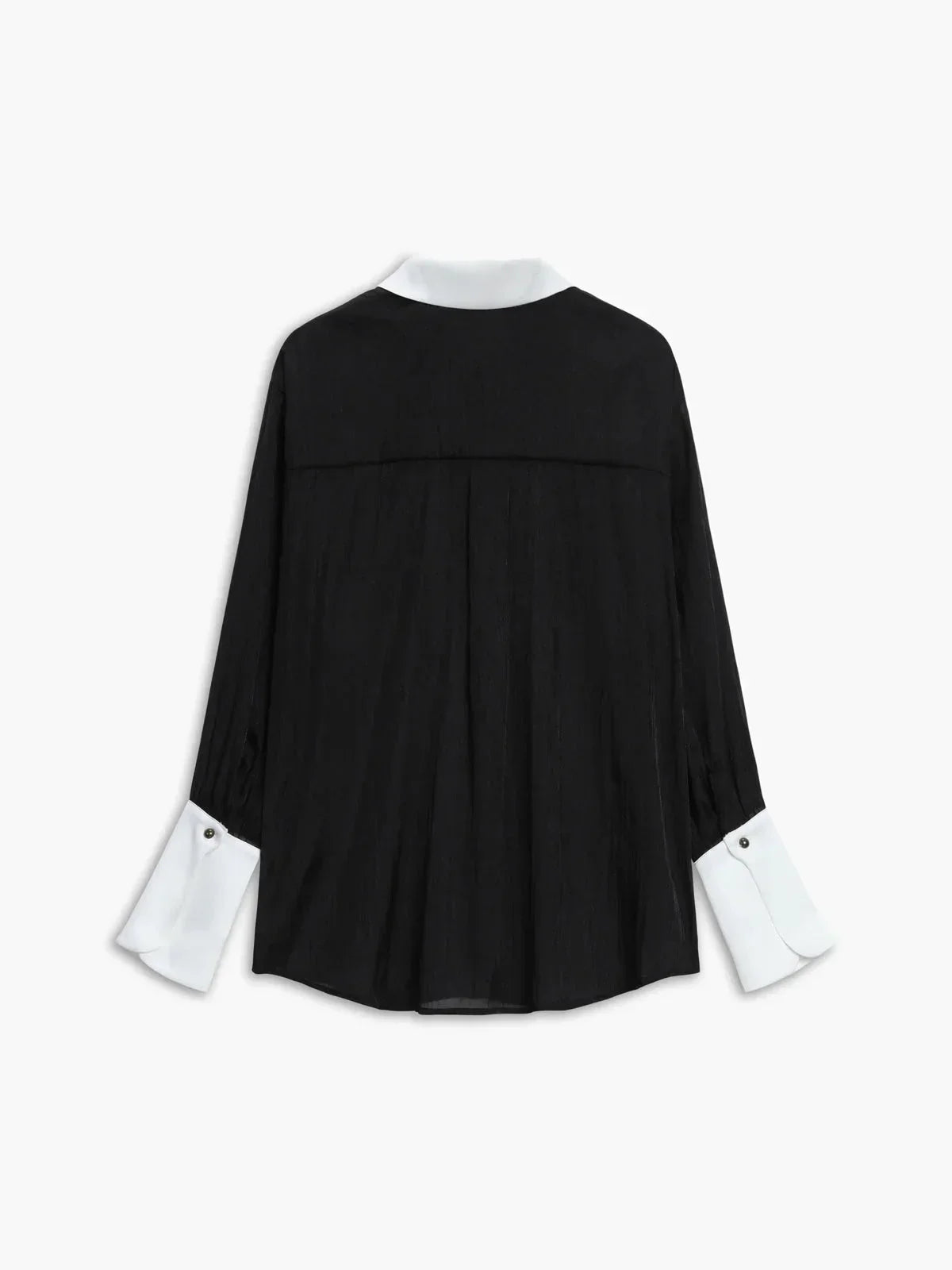Women's Long Sleeve Sheer Blouse Contrasting Trim