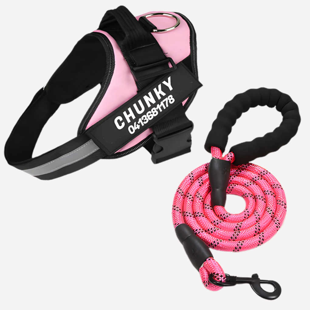 Customizable Anti-Pull Dog Harness