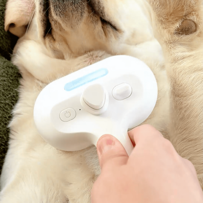 Steam Brush for Dogs Grooming