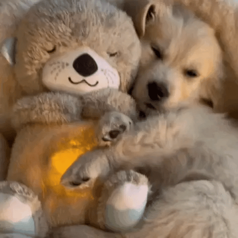 Plush Calming Toy