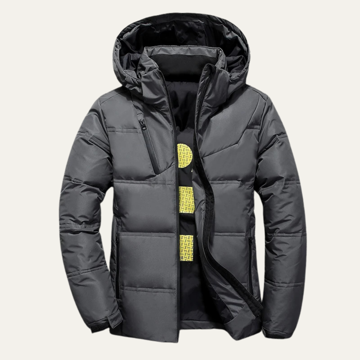 Wrenford Men's Down Puffer Jacket Winter Hooded