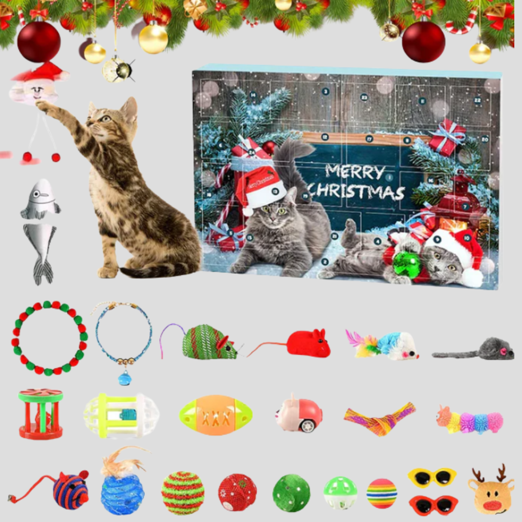 Cat Interactive Toy Advent Calendar 24 Day Countdown Kit - Vonnera