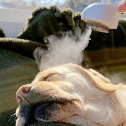 Steam Brush for Dogs Grooming