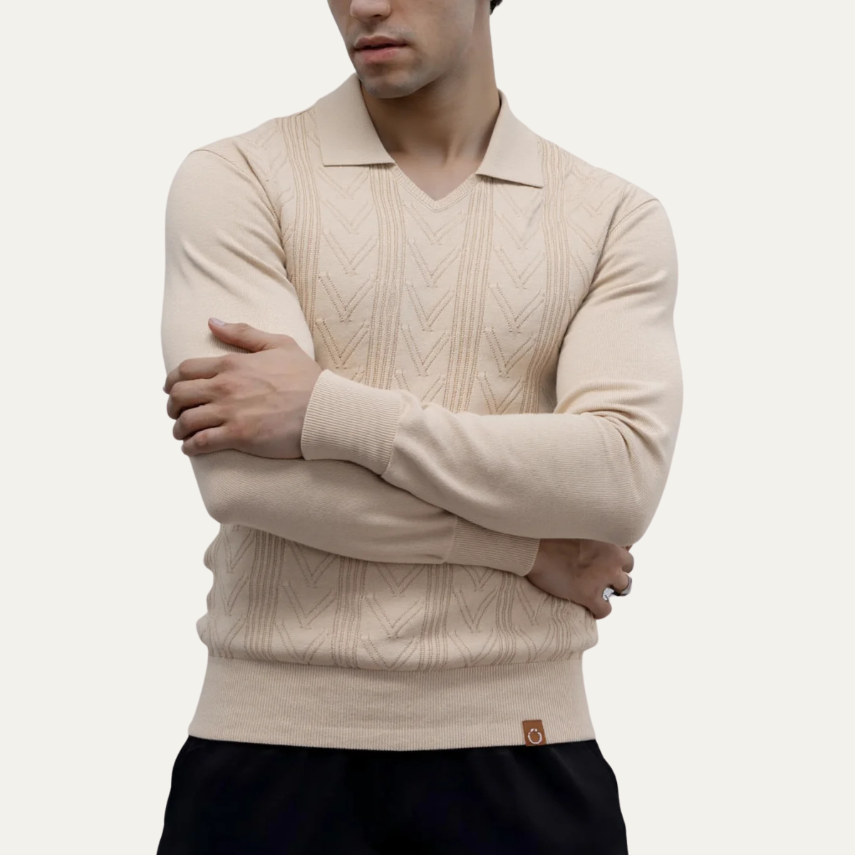 Men's Slim Fit V Neck Knitted Polo Sweater