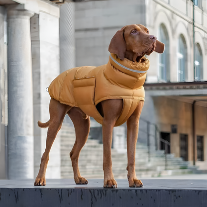 Dog Winter Vest Warm Waterproof