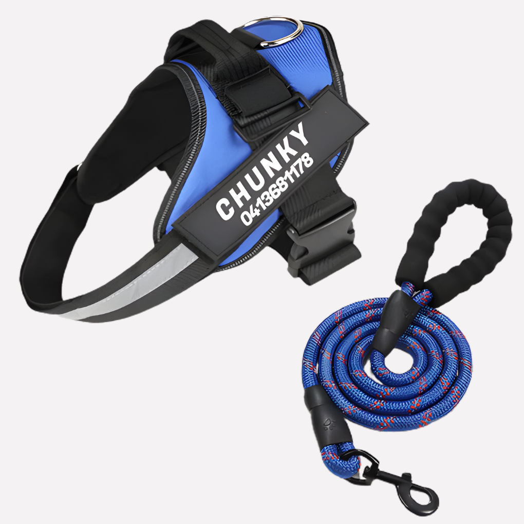Customizable Anti-Pull Dog Harness - Vonnera