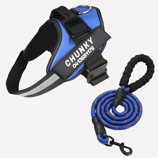 Customizable Anti-Pull Dog Harness - Vonnera