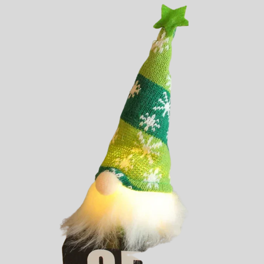 Garden Gnome Ornament Led Lighted