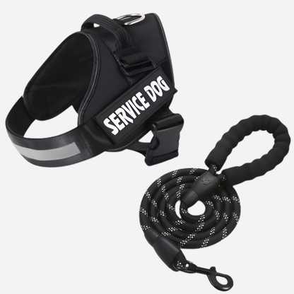 Customizable Anti-Pull Dog Harness