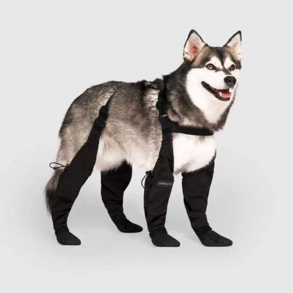 Durable Dog Boots Waterproof Rubber Medium - Vonnera