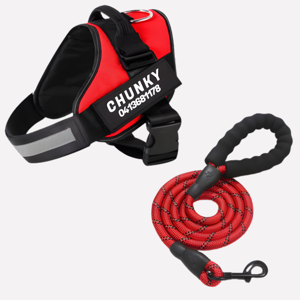 Customizable Anti-Pull Dog Harness