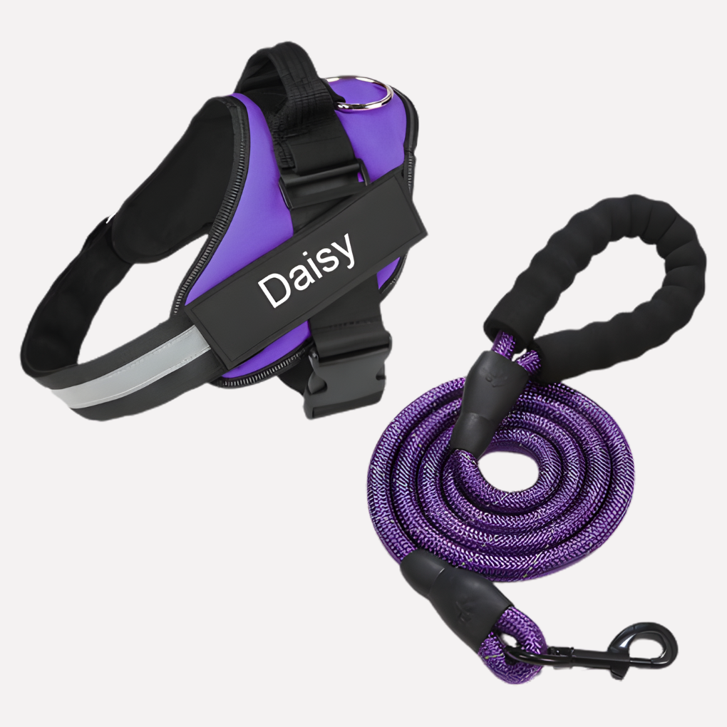 Customizable Anti-Pull Dog Harness