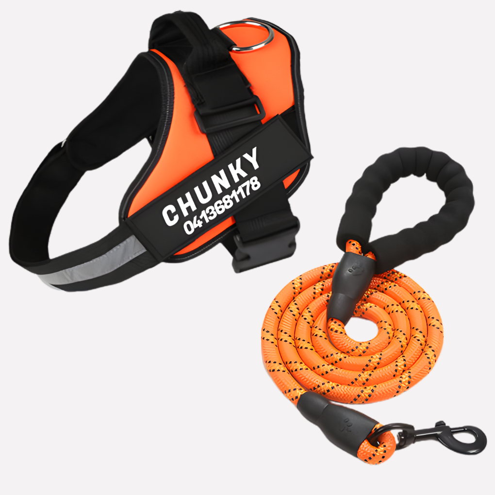 Customizable Anti-Pull Dog Harness