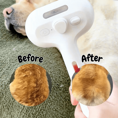 Steam Brush for Dogs Grooming