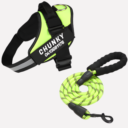 Customizable Anti-Pull Dog Harness