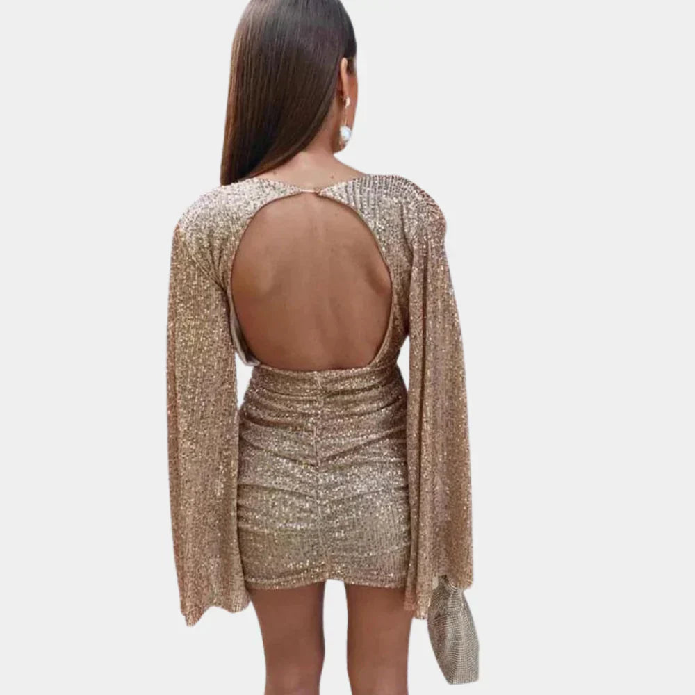 Women's Glamour Dress Shimmering Details