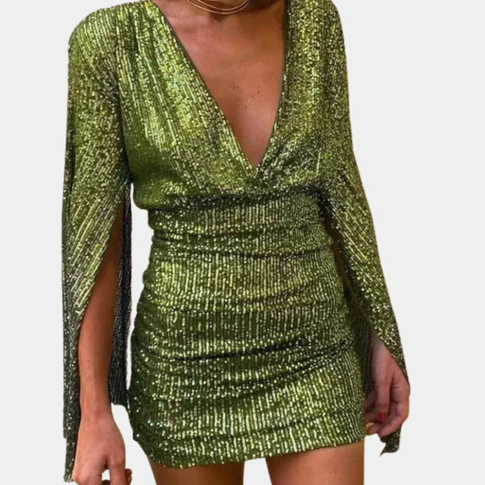 Women's Glamour Dress Shimmering Details