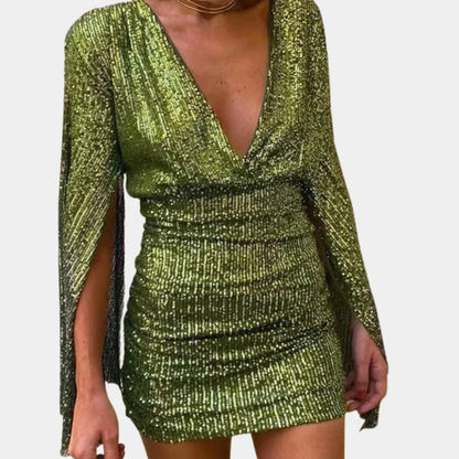 Women's Glamour Dress Shimmering Details