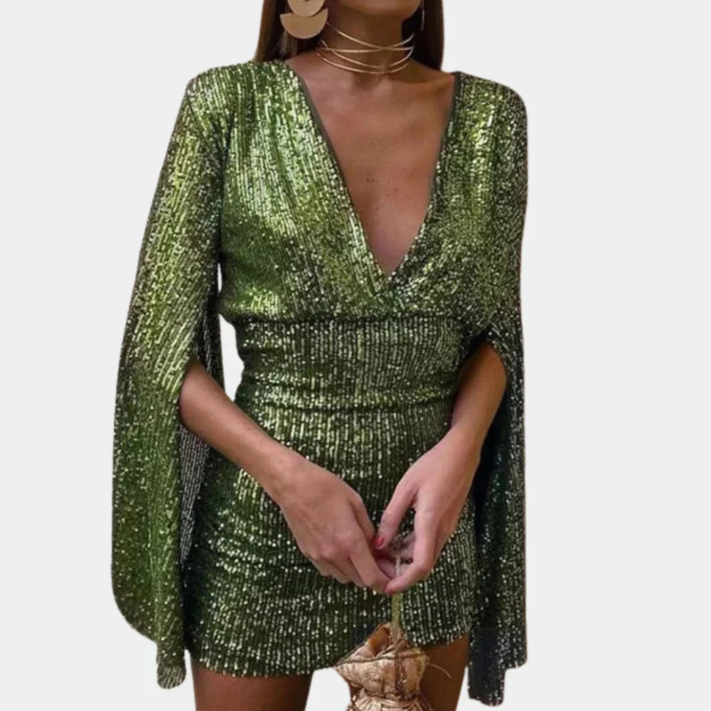 Women's Glamour Dress Shimmering Details