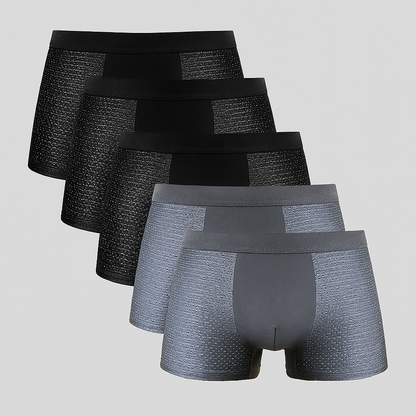 Men's Mesh Boxer Shorts 5 Pack