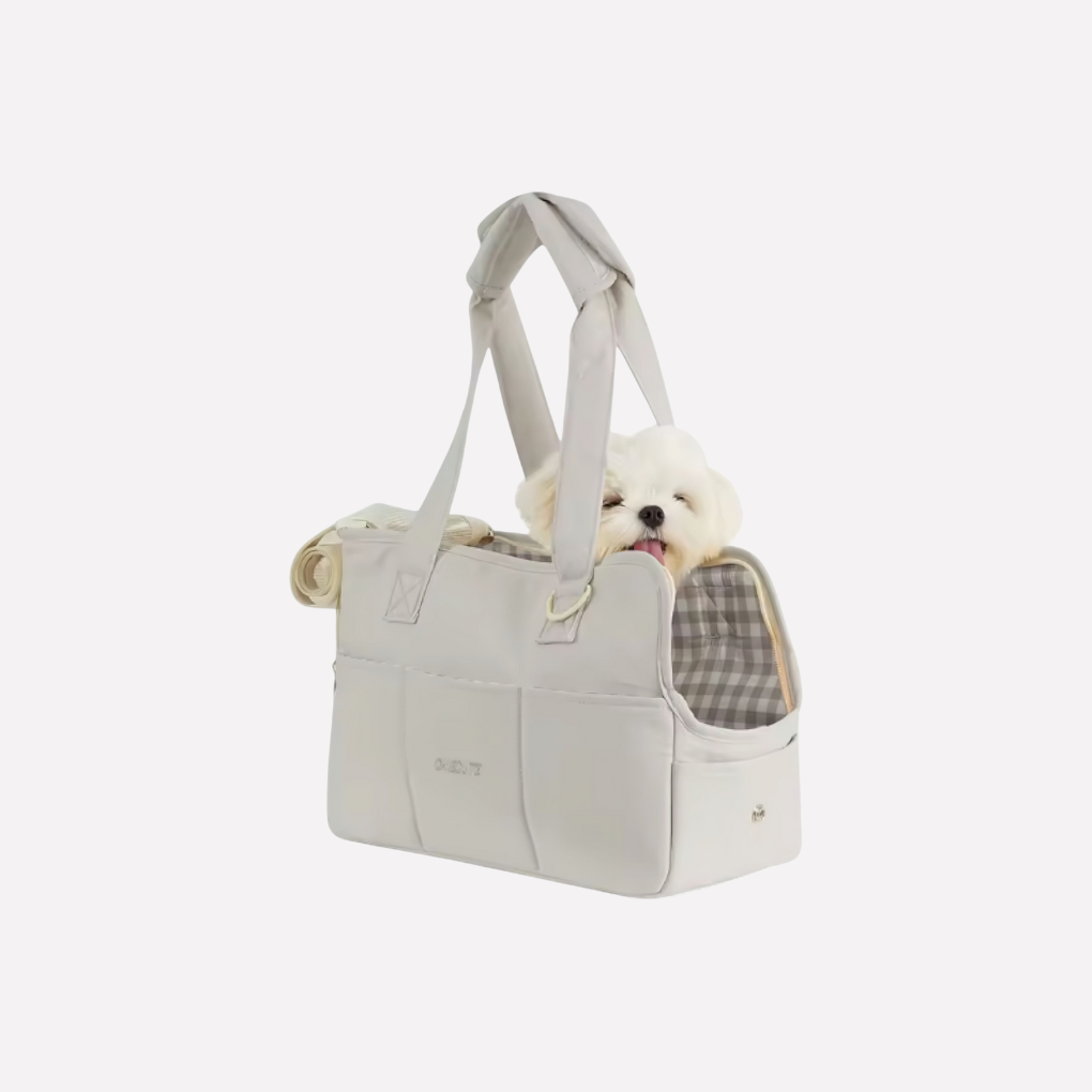 Pet Travel Carrier