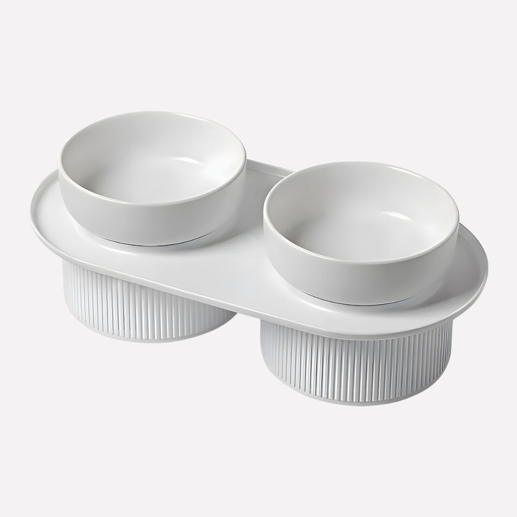 Ceramic Elevated Pet Food Bowl