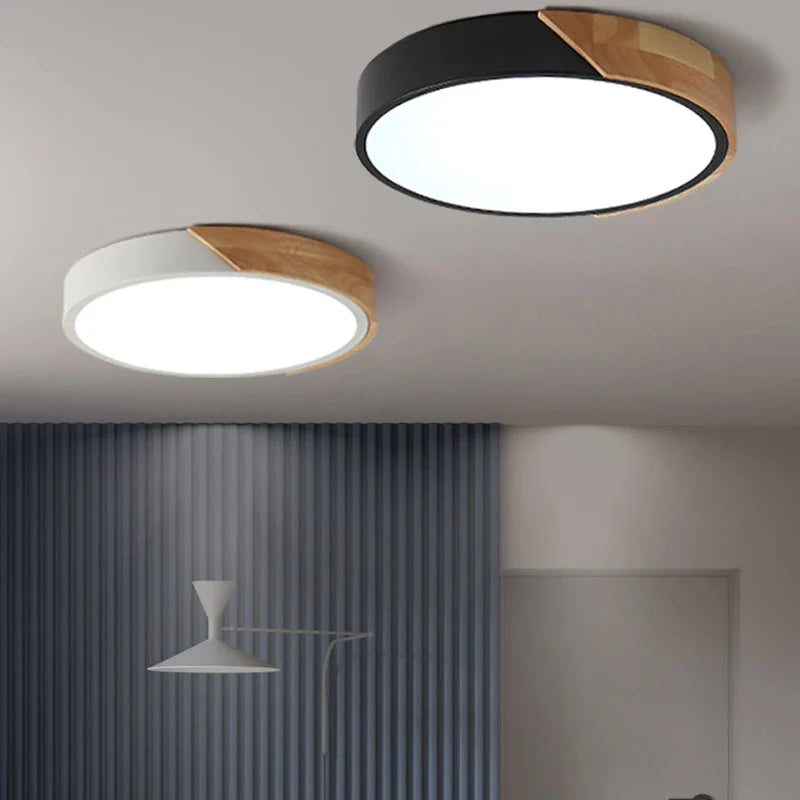 Flush Mount Light Fixture Modern Minimalist
