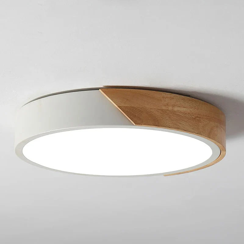 Flush Mount Light Fixture Modern Minimalist