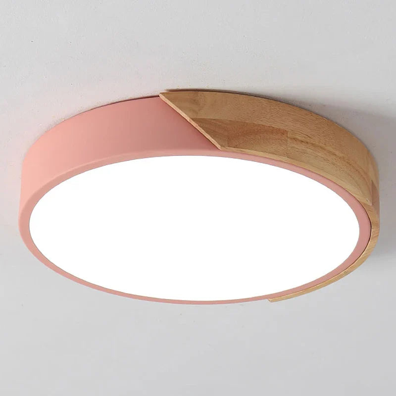 Flush Mount Light Fixture Modern Minimalist