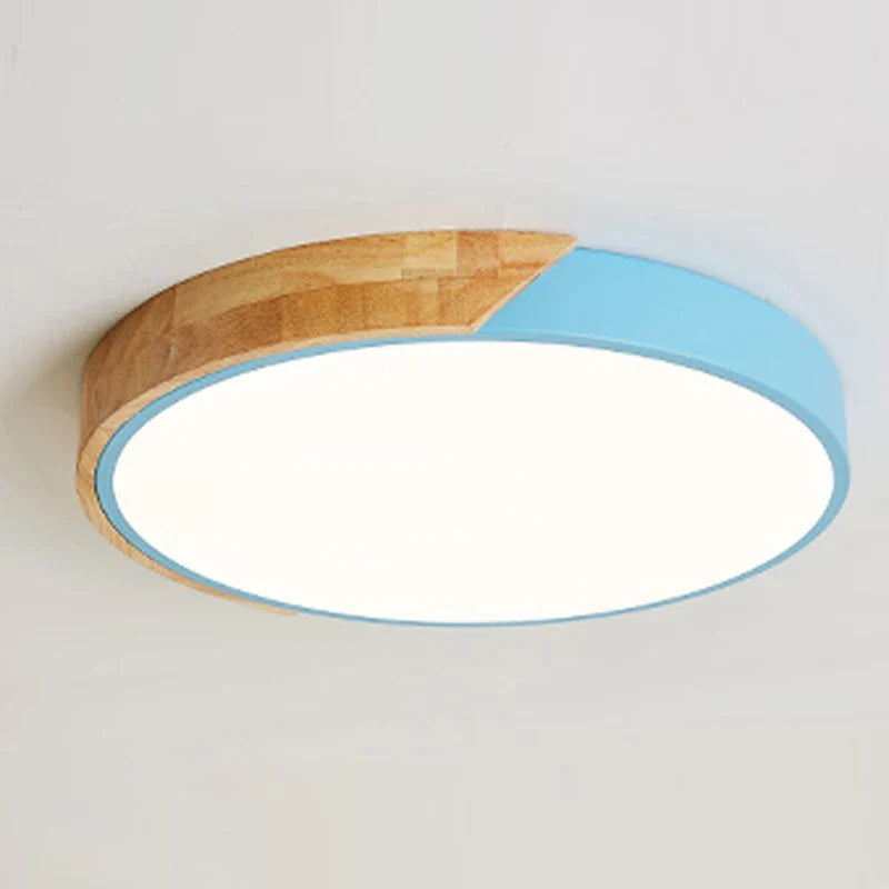 Flush Mount Light Fixture Modern Minimalist