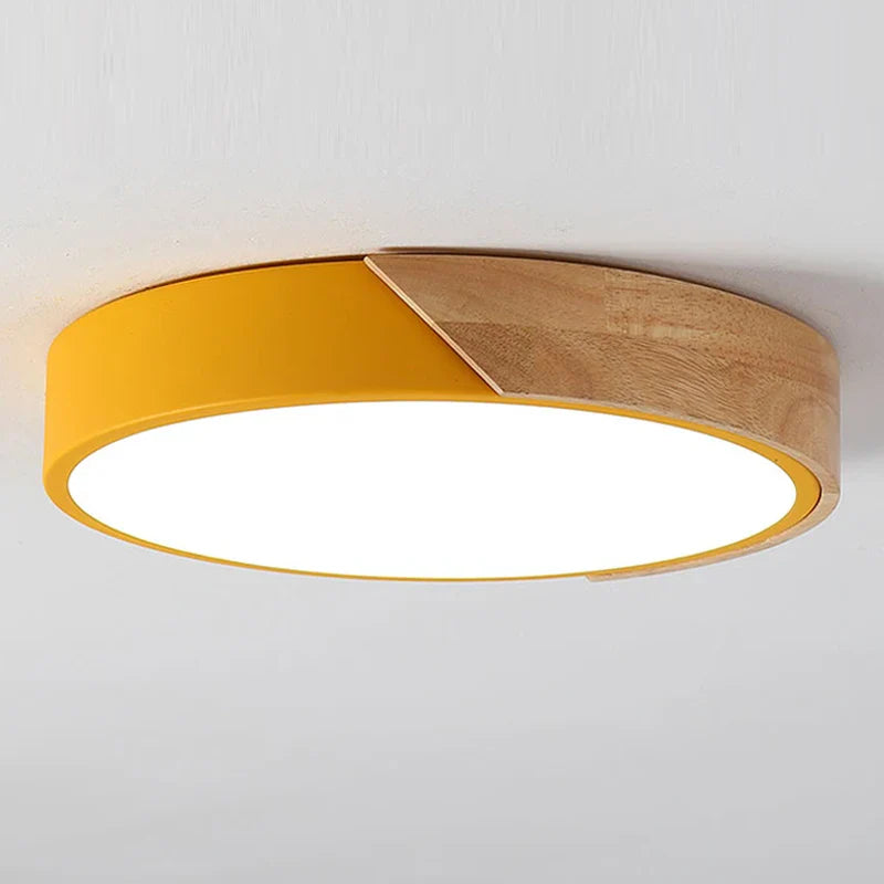 Flush Mount Light Fixture Modern Minimalist