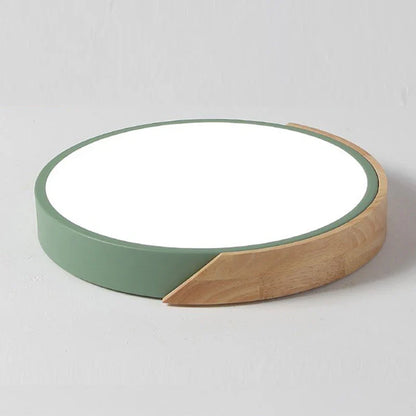Flush Mount Light Fixture Modern Minimalist