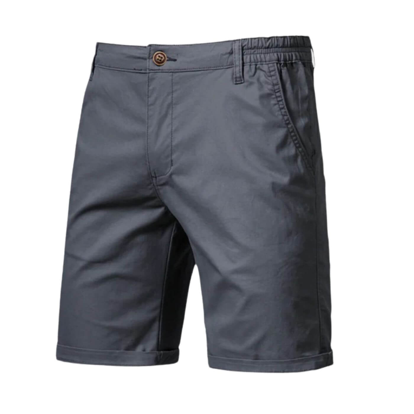 Theodore Men's Stretch Shorts