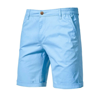Theodore Men's Stretch Shorts