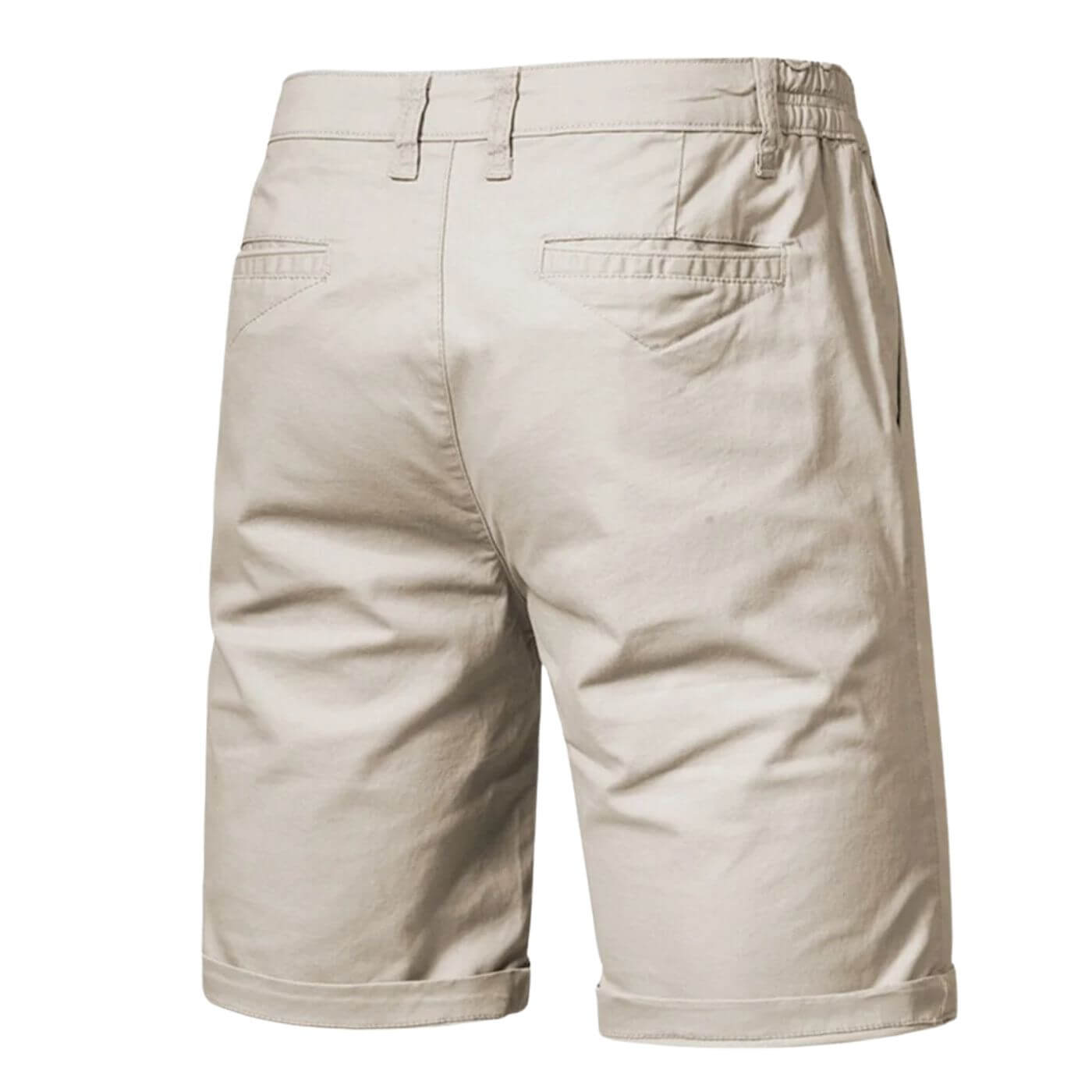 Theodore Men's Stretch Shorts