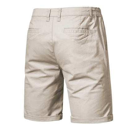 Theodore Men's Stretch Shorts