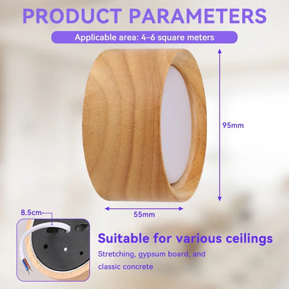 Modern Flush Mount Ceiling Light Fixture