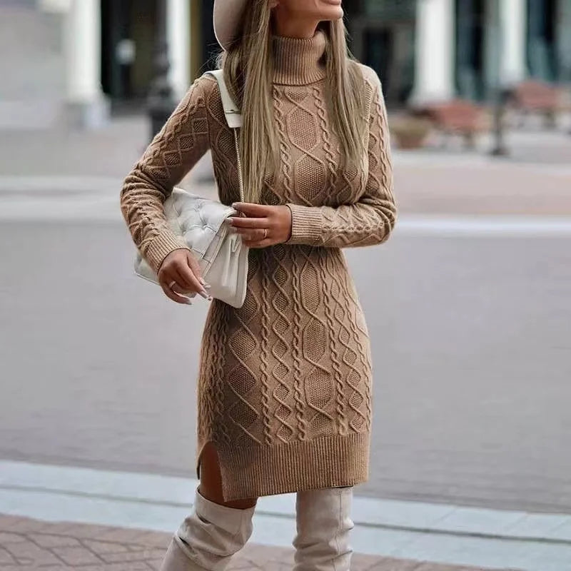 Veronae Women's Knit Turtleneck Dress
