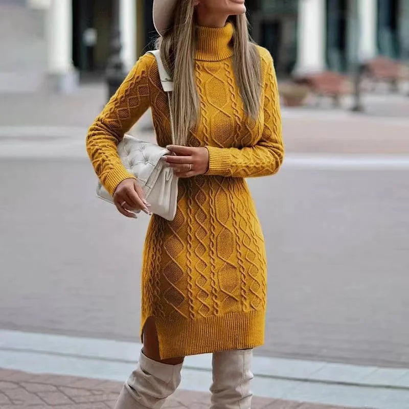 Veronae Women's Knit Turtleneck Dress