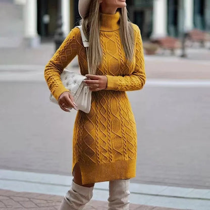 Veronae Women's Knit Turtleneck Dress