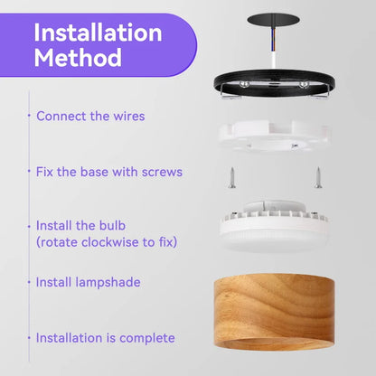 Modern Flush Mount Ceiling Light Fixture