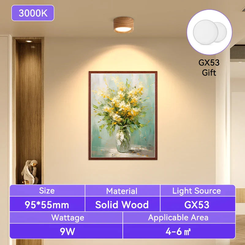 Modern Flush Mount Ceiling Light Fixture