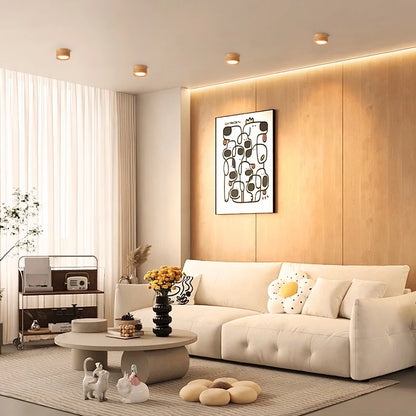 Modern Flush Mount Ceiling Light Fixture