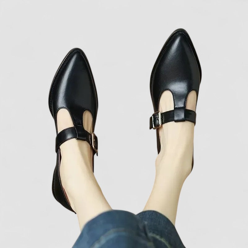 Women's Low Heel Pointed Toe Mary Jane Shoes
