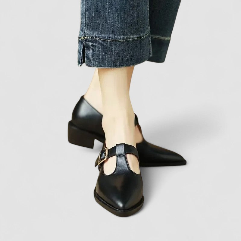 Women's Low Heel Pointed Toe Mary Jane Shoes
