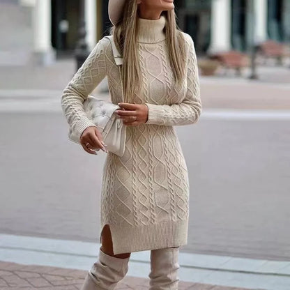 Veronae Women's Knit Turtleneck Dress